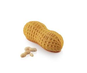 silikomart Professional Stampo in Silicone Arachide 700 ml con Cutter Incluso - Tortiera per Torte Moderne, Mousse e Semifreddi - 19,6x8,7 cm H 7,5 cm