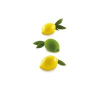Silikomart Stampi in Silicone per Dolci - Lime 120 88x61 H44 mm - Accessori Professionali per Cucina e Pasticceria - Stampini Monoporzione per Dolci Forno