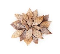 silikomart - VOILA' COOKIE - LEAVES - FORMABISCOTTI FOGLIE 240X150 H 20 MM - NUO