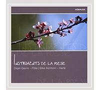 Silke Aichhorn-Dejan Gavric - Instruments De la Poasie