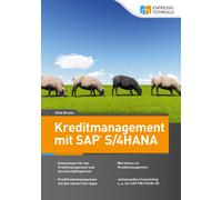 Silke Breest Kreditmanagement mit SAP S/4HANA (Tascabile)