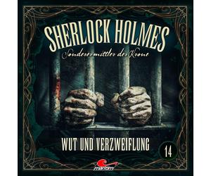 Silke Walter Sherlock Holmes 14: Wut und Verzweiflung