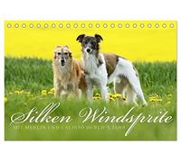 Silken Windsprite - Mit Merlin und Calisto durch´s Jahr 2026 (Tischkalender 2026 DIN A5 quer), CALVENDO Monatskalender: Die seidigen Windhunde aus Amerika