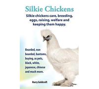 Silkie Chickens Care, Breeding, Eggs, Raising, Welfare and Keeping Them Happy: