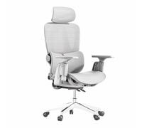 Silla ergonómica para oficina: cómoda silla para escritorio de oficina en casa, reposabrazos abatibles y un cómodo cojín de malla para el asiento(White,Cloud)