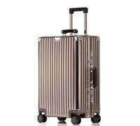 SilteD Valigia Valigia in Lega di Alluminio e Magnesio Trolley d'imbarco Casella Password Telaio in Alluminio Bagagli Semplice Custodia da Viaggio Portatile Valigia Grande (Color : B, Taille