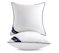 Siluvia Inserti per cuscini da 50 x 50 cm, decorativi 20 inserti per cuscini da interni quadrati, per cuscini decorativi e divani, 2 pezzi, colore: bianco