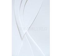 Silva Cavalli Felci. La vita è insufficiente. Ediz. illustrata