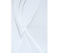 Silva Cavalli Felci. La vita è insufficiente - [Lubrina Bramani Editore]