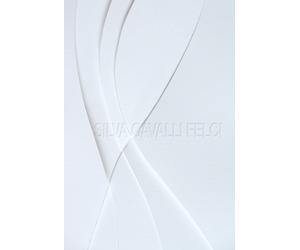 Silva Cavalli Felci. La vita è insufficiente - [Lubrina Bramani Editore]