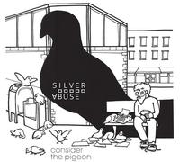 Silver Abuse - Consider The Pigeon