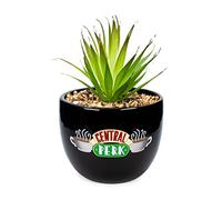 Silver Buffalo Fioriera, Ceramica, Amici Central Perk Logo, Taglia Unica