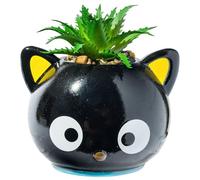 Silver Buffalo Mini fioriera in ceramica, nero/multicolore