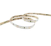 SILVER ELECTRONICS -Striscia LED 1560lm 12W/m 6000K 5m 24V IP20 larghezza 10mm taglio 4,16cm 30.000h