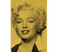 Silver Marilyn: Marilyn and the Camera