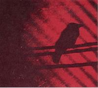 Thee Silver Mt. Zion – Born Into Trouble As the Sparks Fly – Vinile LP