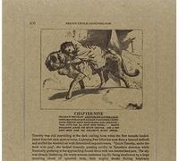 Silver Mt.Zion - Pretty Little Lightning Paw