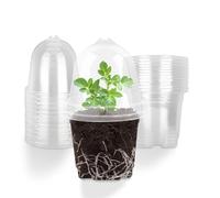 SilverChry Cupole per Umidità, 20 Pieza Vaso Trasparente per Orchidee, Vaso Trasparente da 10,5 Cm, Jardinière en Acrylique