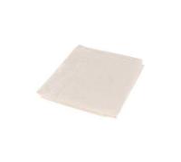 Silverline Comodo Polvere Foglio 3.6 X 2.4m Decorazione DIY Strumento