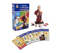 Silverlit - Hello Maestro - Il était une fois... - Scopri il Corpo Umano con Hello Maestro - Gioco Educativo - A partire dai 8 anni