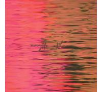 Silverstein - Dead Reflection