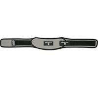 Silverton Neoprene Cintura per Sollevamento Pesi, Unisex, 43233L, Grau, L