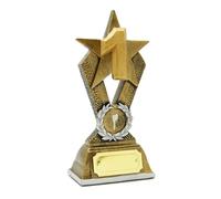 SilverTrophy: 1st Place Gold Star Trofeo, Campione, Vincitore, Primo, Vincitore del Premio, Medaglia d'oro, Numero 1, Regalo aziendale, Figurina a prezzi accessibili, Piastra per incisione, Premio