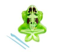 Simba Scout Dissect-It - Rana da sezionare, 16 cm, Scheletro e organi da assemblare, Set di Ricarica di Attrezzi, dai 5 Anni in su