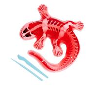 Simba Scout Dissect-It Salamandra da sezionare, 14 cm, Scheletro e organi da assemblare, Set di Ricarica, Attrezzi, dai 5 Anni in su