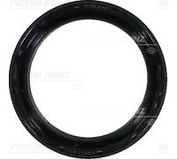 Paraolio, albero a camme REINZ 81-38531-00