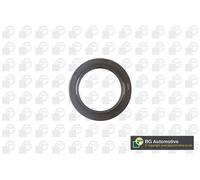 Simering paraolio albero a camme anteriore NBR (Nitrile-Butadiene-Caucciù) BGA