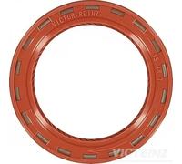 Paraolio, albero a camme REINZ 81-24909-10