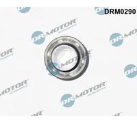 Simering paraolio albero a camme Parte frontale DRM0290 Dr.Motor Automotive