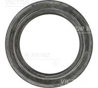 Paraolio Albero camme Per FORD TRANSIT Autobus 2.5 TD Autobus 74Kw 9/1991>