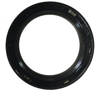 Paraolio, albero a camme REINZ 81-42704-00