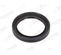 Simering paraolio albero a camme PTFE (Politetrafluoretilene) NA5504 PAYEN