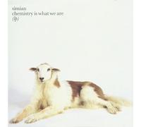 Simian - Chemistry Is What We Are