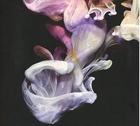 Simian Mobile Disco - Murmurations