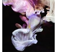 Simian Mobile Disco - Murmurations