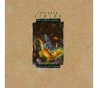 Simien,Terrance & Mallet Playboy - Zydeco on the Bayou