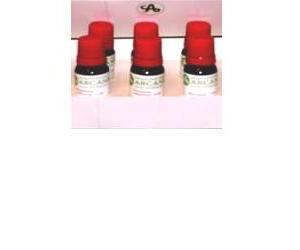 Similia Thuya Occidentalis 6LM Gocce 10 ml