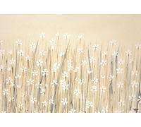 Simon Fairless 60 x 80 cm, di Campo di Fiori Bianchi Floreale Canvas Prints Stellata Stampa su Tela