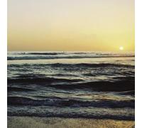 Simon Joyner - Step Into the Earthquake