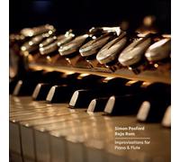 Simon Posford and R Simon Posford/Raja Ram: Improvisations for Piano (Vinyl LP)