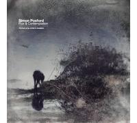 Simon Posford Flux & Contemplation: Portrait Of An Artist In Isolatio (Vinyl LP)