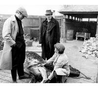 Simon Ward [1035705] 8x10 Foto (Altre Misure Disponibile)