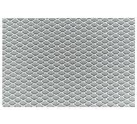 Simoni Racing GSA/2 Griglia radiatore