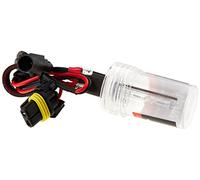 Simoni Racing LH5/H1 Lampadina di Ricambio per kit Xenon, attacco H1