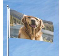 Simpatica bandiera Golden Retriever da 0,8 x 0,9 m su entrambi i lati, nessuna dissolvenza, bandiera da giardino di benvenuto, bandiera da cortile con decorazione per esterni in ottone, decorazione