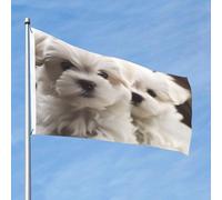 Simpatica bandiera maltese con cucciolo di maltese da 0,8 x 0,9 m, doppia faccia, non sbiadisce, bandiera da giardino con decorazione in ottone per esterni, decorazione per cortile, portico, prato